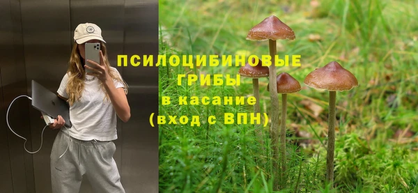мдпв Алзамай