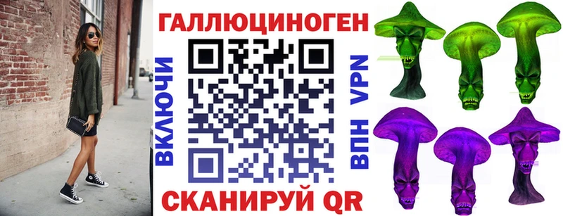 Псилоцибиновые грибы Psilocybe  Купить закладки  Амурск 