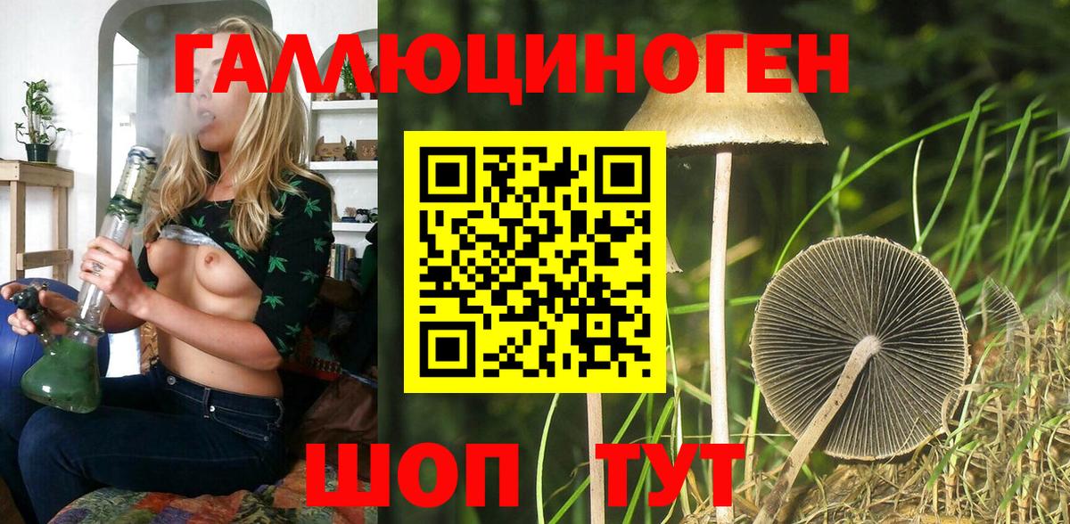 как найти наркотики  Амурск  Псилоцибиновые грибы мицелий 