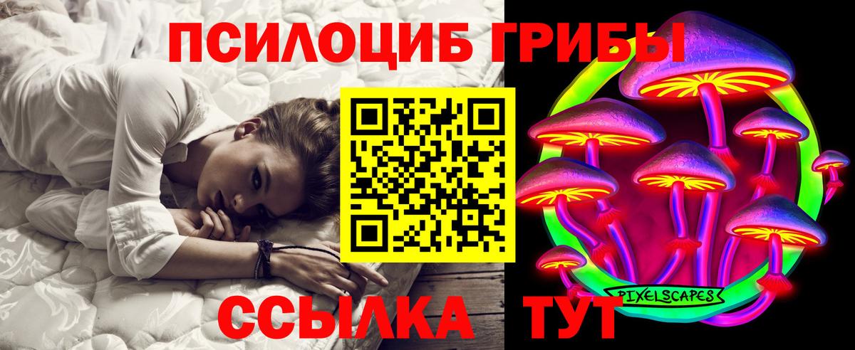 Амурск  Псилоцибиновые грибы GOLDEN TEACHER  Вход с VPN 